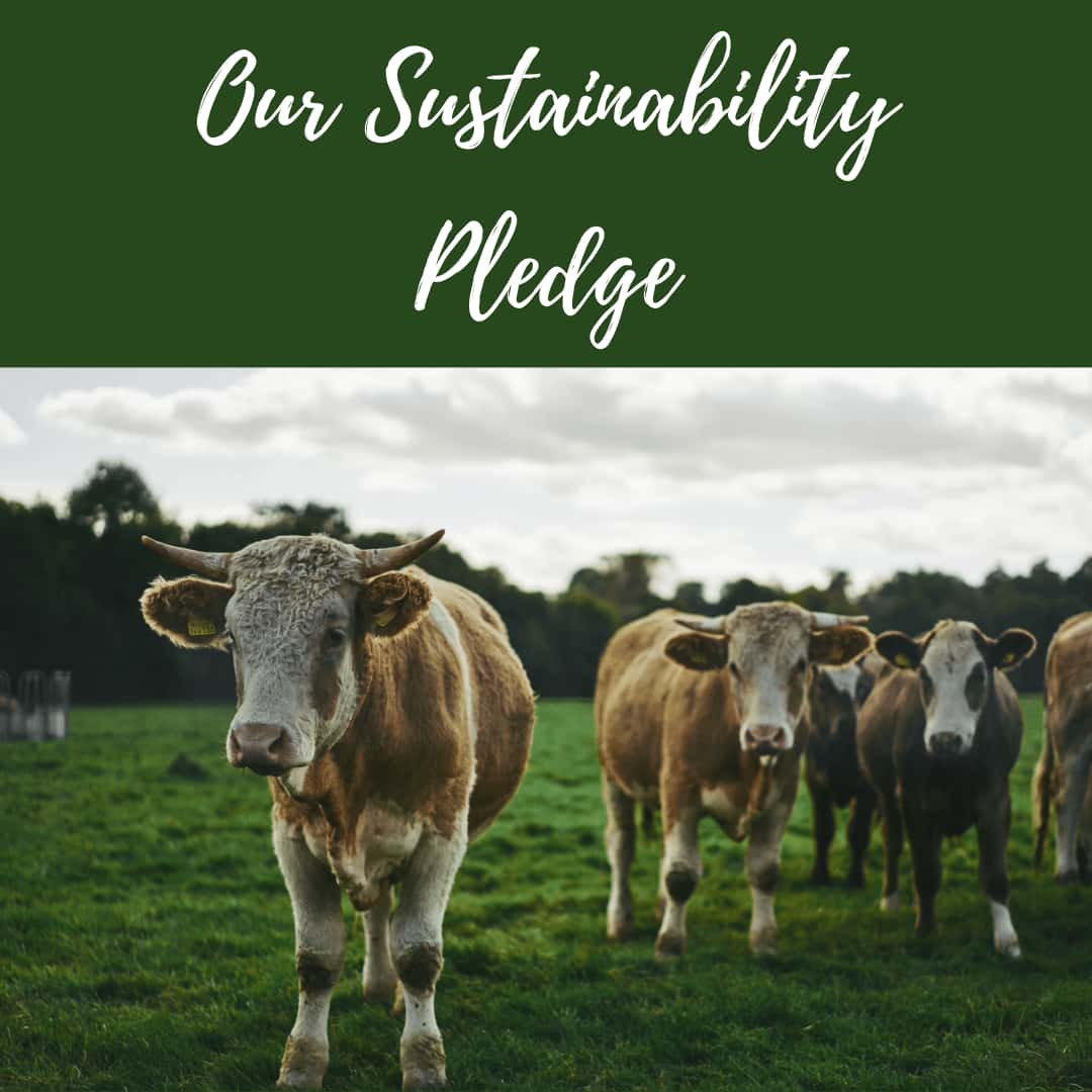 Sussex Sustainability Pledge